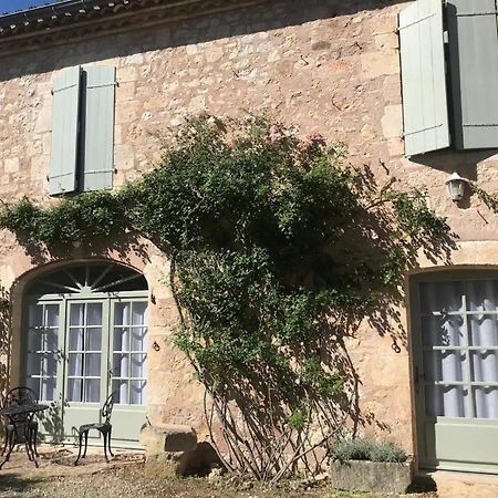 Domaine De La Durantie Duplex Vieux Chateau Castelnau-de-Montmiral Zewnętrze zdjęcie