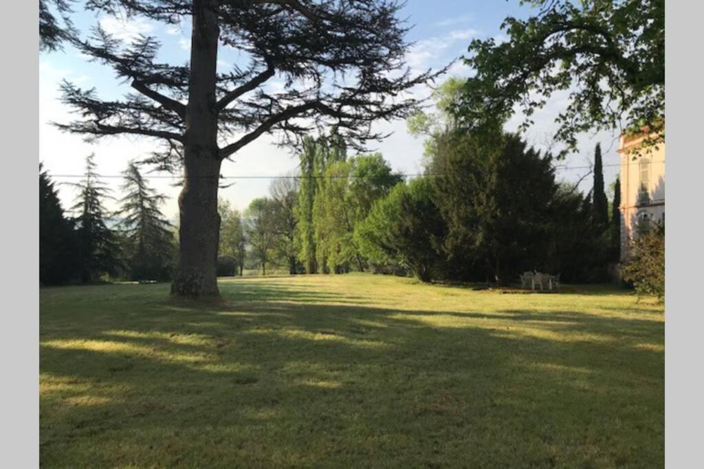 Domaine De La Durantie Duplex Vieux Chateau Castelnau-de-Montmiral Zewnętrze zdjęcie