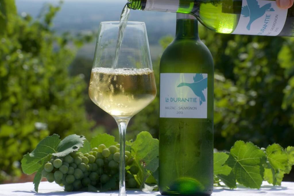 Domaine De La Durantie Duplex Vieux Chateau Castelnau-de-Montmiral Zewnętrze zdjęcie