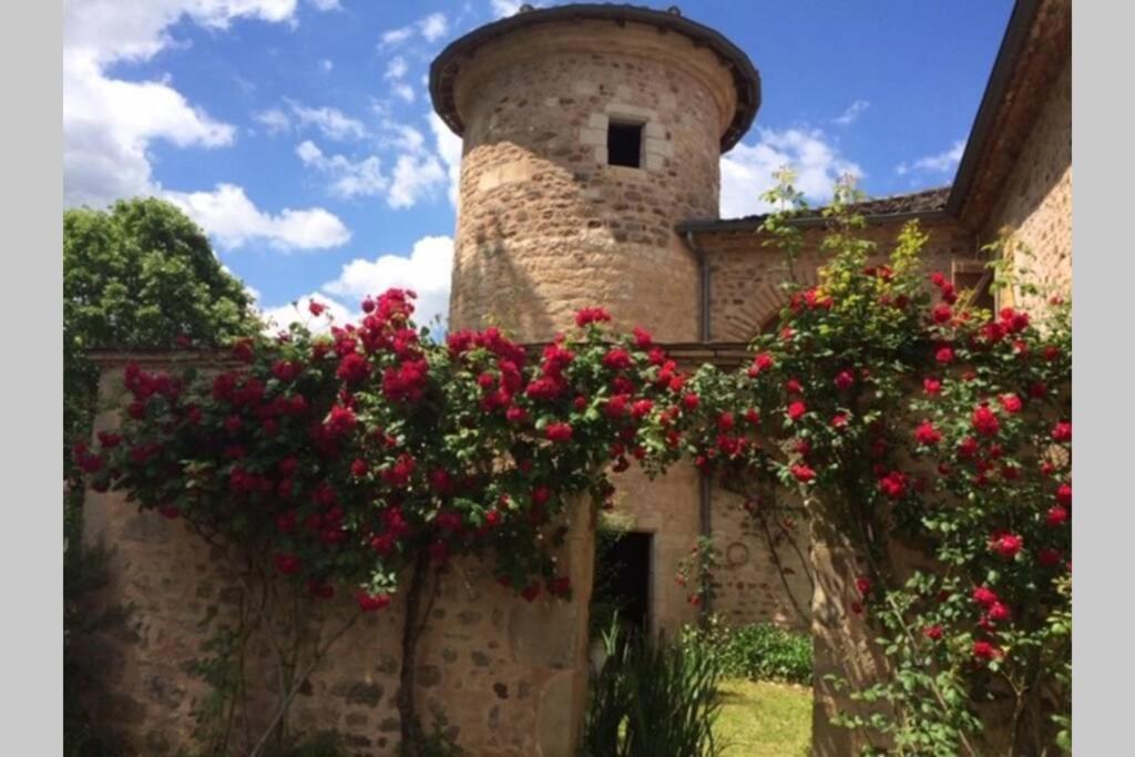 Domaine De La Durantie Duplex Vieux Chateau Castelnau-de-Montmiral Zewnętrze zdjęcie